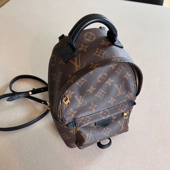 Louis Vuitton Palm Springs Mini Backpack - Picture 3 of 5